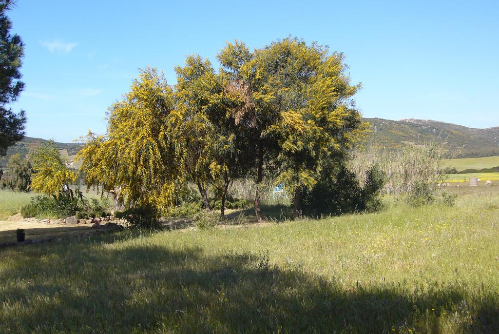 B&B Le Vele Teulada Esterno foto